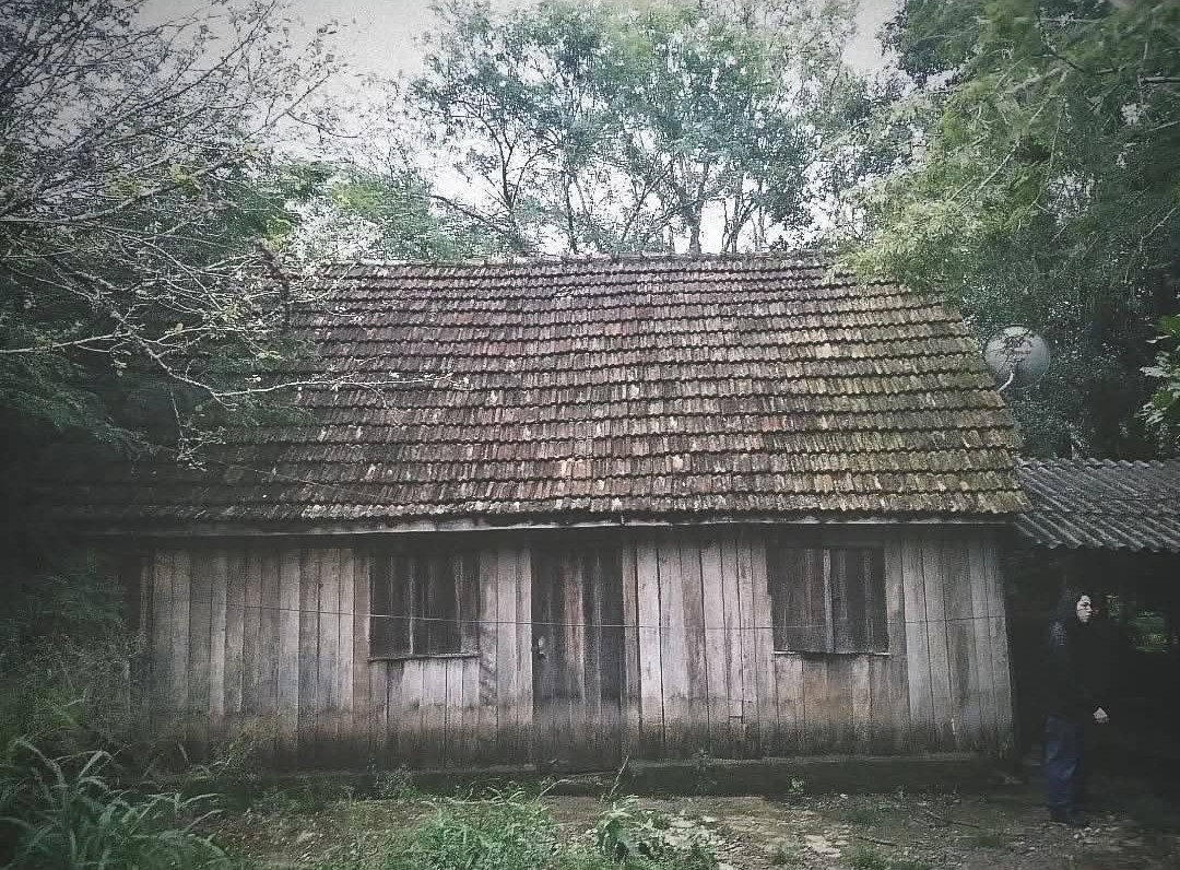 THE SAGA OF THE DE SÁ FAMILY — LITERARY NARRATIVE BASED ON FACTS